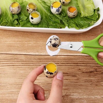 Coupe oeuf