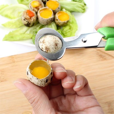 Coupe oeuf