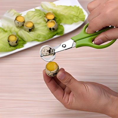 Coupe oeuf