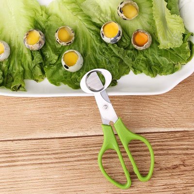 Coupe oeuf