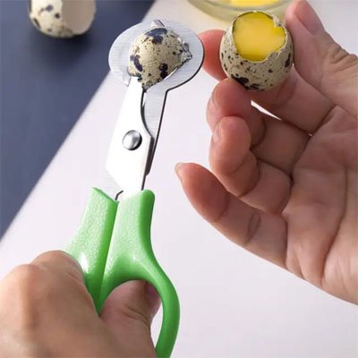 Coupe oeuf